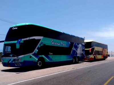 BUSES MODASA DE EXPORTACION