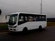 BUSES MODASA DE EXPORTACION